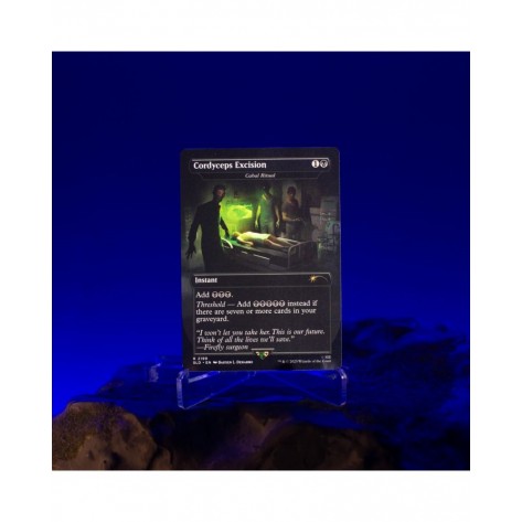 Magic the Gathering: Secret Lair x The Last of Us: Part I (Non-Foil)